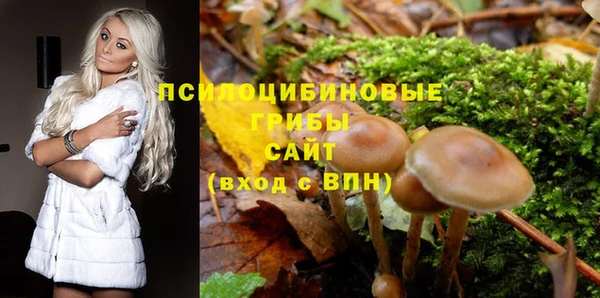 наркотики Зерноград