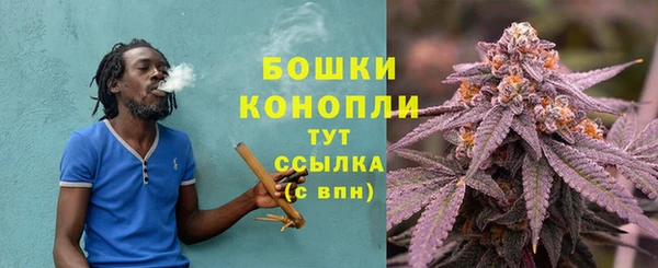 молекула духа Заволжск