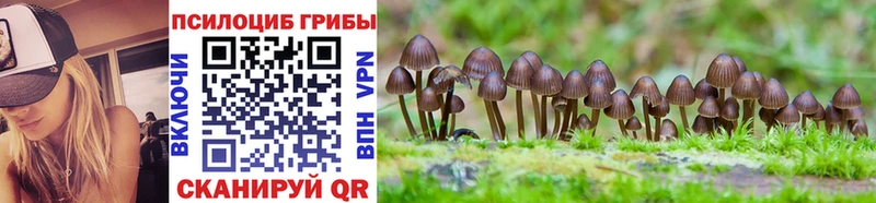 Купить закладки  Алупка  Псилоцибиновые грибы мицелий 